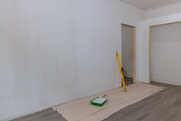 Best Black Mold Removal  in Norwich, CT